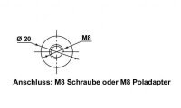 BullTron Polar 100Ah LiFePO4 51.2V Akku mit Smart Doppel-BMS, Bluetooth App und Heizung