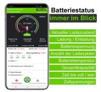 BullTron Polar 100Ah LiFePO4 51.2V Akku mit Smart Doppel-BMS, Bluetooth App und Heizung