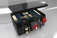 Forster 12,8V Lithium 200Ah LiFePO4 Premium Batterie | 200A-BMS-2.0 | 500A Bluetooth Mess-Shunt | Ducato Ford PSA | 2560Wh