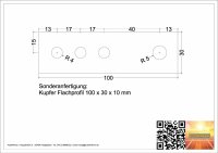Kupferschiene / Sammelschiene 100 x 30 x 10 mm gelocht