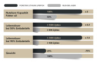 Forster 12,8V Lithium 100Ah LiFePO4 Premium Batterie | 200A-BMS-2.0 | 500ABluetooth Mess-Shunt | Ducato Ford PSA VWT6 TGE | 1280Wh | IP67