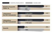Forster 12,8V Lithium 100Ah LiFePO4 Standard Batterie | 150A-BMS | Smart Bluetooth | Ducato Ford PSA | 1024Wh