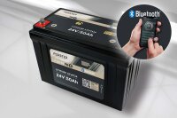 Forster 25,6V Lithium 50Ah LiFePO4 Standard Batterie |...
