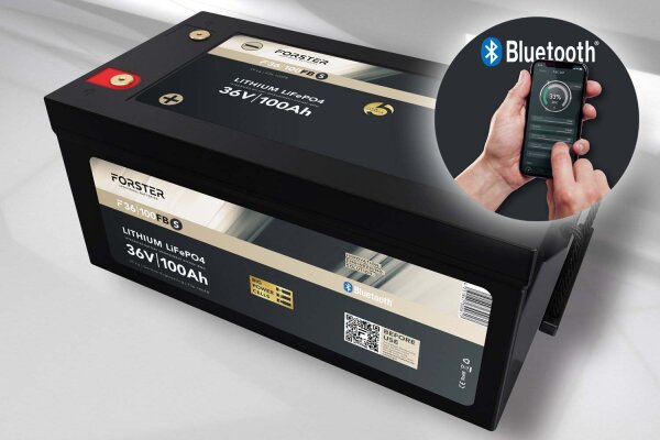 Forster 38,4V Lithium 100Ah LiFePO4 Standard Batterie | 100A-BMS | Smart Bluetooth | 3840Wh