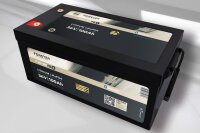Forster 38,4V Lithium 100Ah LiFePO4 Standard Batterie | 100A-BMS | Smart Bluetooth | 3840Wh