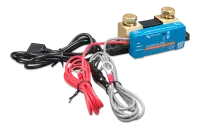 Victron SmartShunt für Wohnmobile 300A-50mV IP65