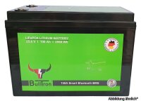 BullTron 100Ah Polar LiFePO4 25.6V Akku mit Smart BMS,...