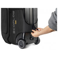 EcoFlow DELTA PRO Tragetasche mit Zubehörfach