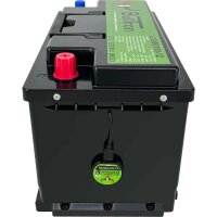 BullTron® 100Ah LiFePO4 12.8V Akku mit Smart BMS und 1A aktiv Balancer