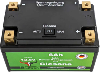 BullTron® 6Ah BullTron Batterie mit Power-Management & Anschlusskabel für die Clesana Toilette