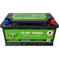 BullTron® 150Ah LiFePO4 12.8V mit Smart BMS, Bluetooth App