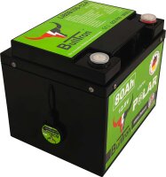BullTron® 80Ah LiFePO4 Polar 12.8V Akku mit Smart...